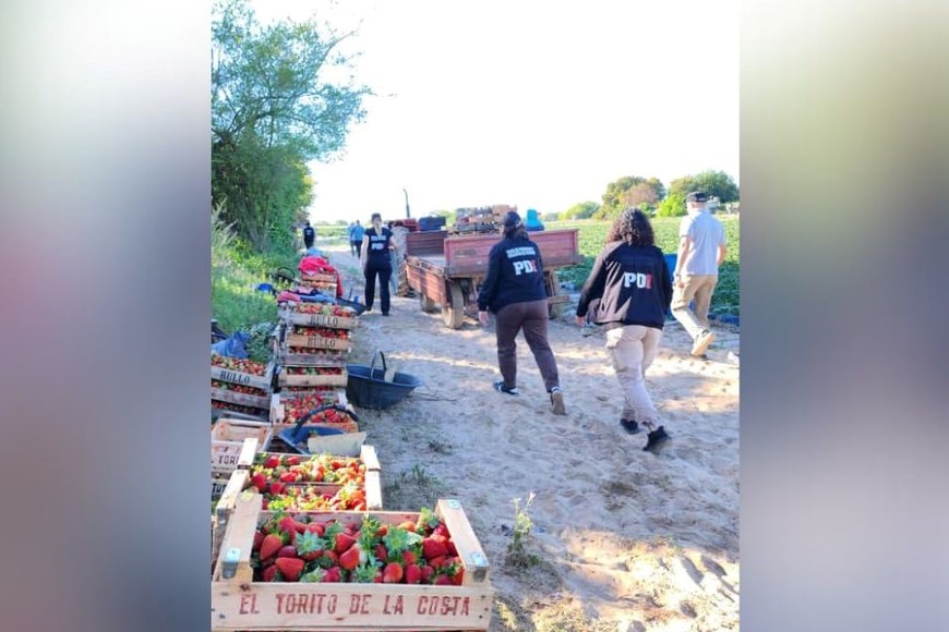 Trata laboral Arroyo Leyes campo de frutillas Franco Poccia