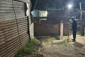 Varios policías fueron hasta el lugar tras recibir varios llamados al 911.