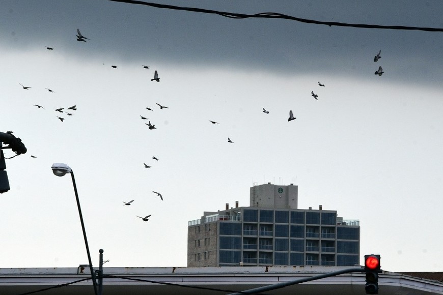 Inestabilidad sostenida en la capital santafesina. Crédito: Guillermo Di Salvatore