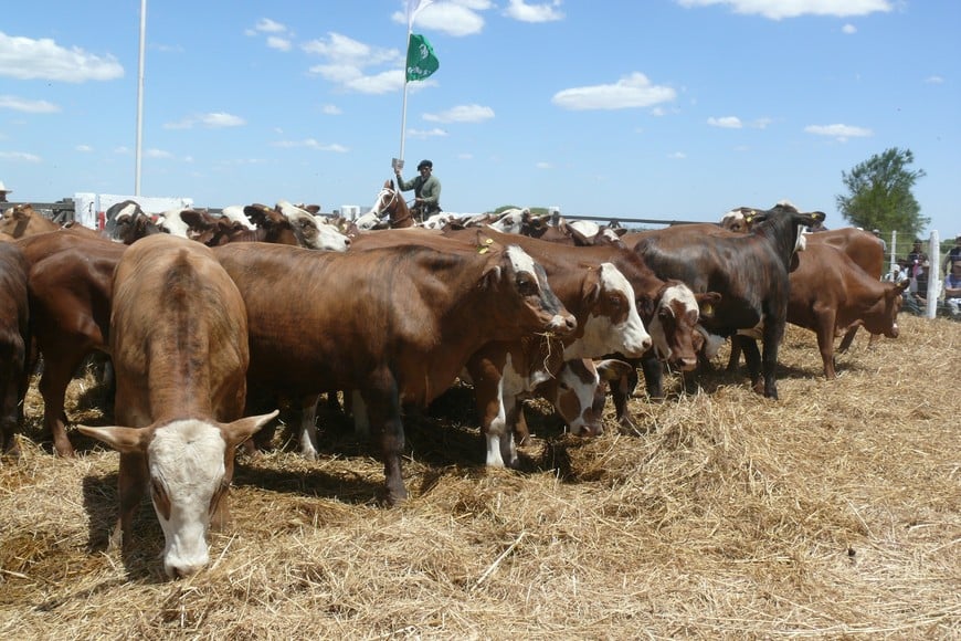 Exportaciones de carne bovina hacia China lideran las ventas externas argentinas. Crédito: Archivo El Litoral.