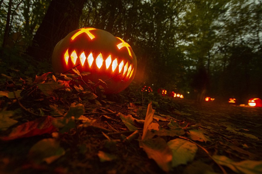(211102) -- MISSISSAUGA, 2 noviembre, 2021 (Xinhua) -- Imagen del 1 de noviembre de 2021 de linternas Jack-O durante un evento de desfile de calabazas en el Whiteoaks Park, en Mississauga, Ontario, Canadá. Como una tradición anual posterior a Halloween, los desfiles de calabazas regresaron a Ontario el lunes de este año. (Xinhua/Zou Zheng) (ah) (vf)