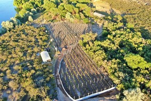 Desarticulan en el sur del país una banda narco comandada por un clan familiar rosarino