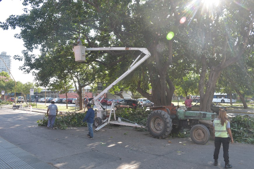 “¿Tercerización encubierta?”, es la suspicacia de Quiroz. Crédito: Archivo Mauricio Garín