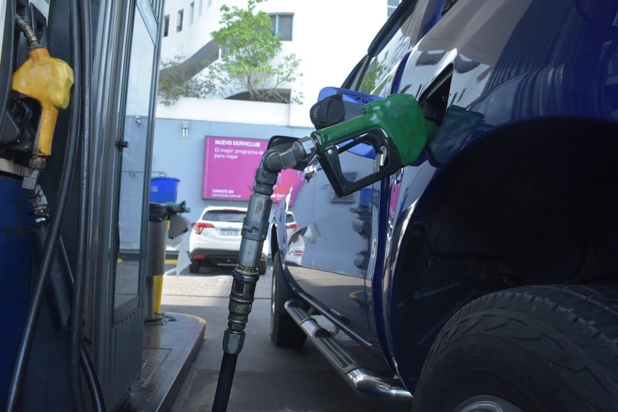 Créditos: Guillermo Di Salvatore