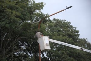 Aquí, una cuadrilla municipal ejecuta una poda. Crédito: Guillermo Di Salvatore