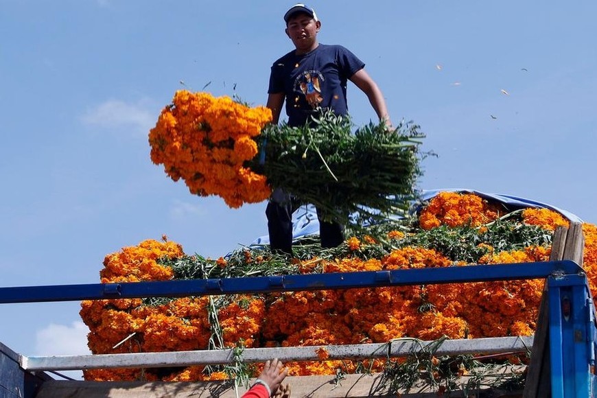 Algunos agricultores locales aseguran haber perdido este año hasta la mitad de sus cultivos.