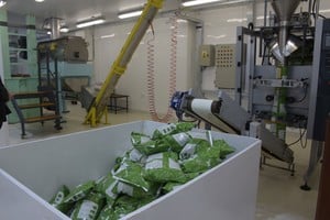 Imagen ilustrativa. En Santa Fe la industria manufacturera representa el 26,3% del PBI provincial -a nivel país ocupa el tercer lugar (10,3% del total) mientras que Buenos Aires es casi la mitad (49%)- en tanto a enero de este año representaba el 18,7% del total del empleo santafesino. Crédito: Luis Cetraro