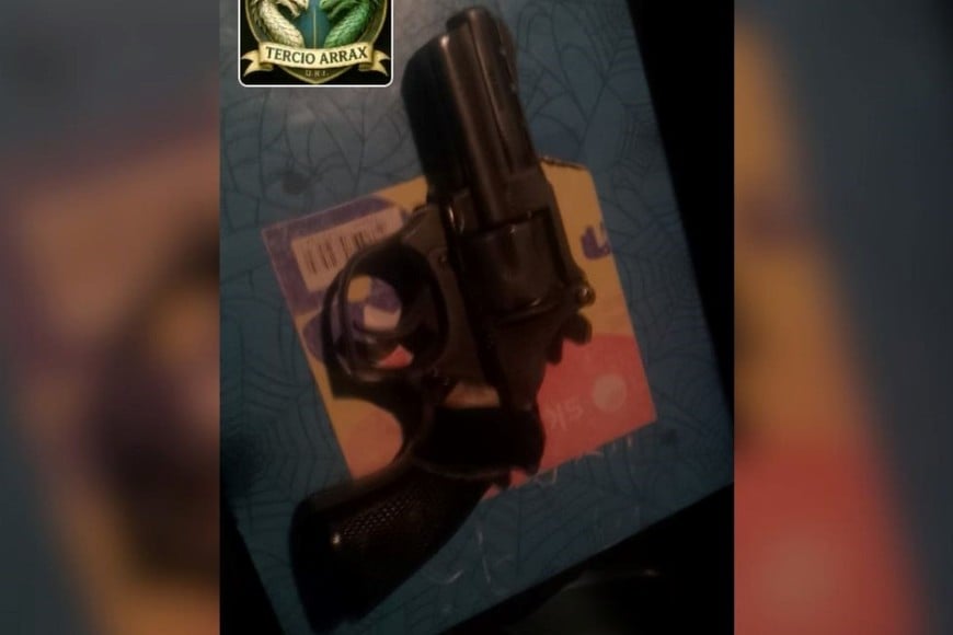 El revólver que portaba una mujer escondida entre yuyales del barrio San Agustín. Foto: El Litoral