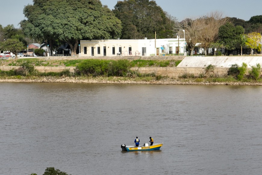 Alarma en el río Paraná y suspensión de la exportación de pescado: revelaron que la población de sábalo disminuyó un 75% - Image 3