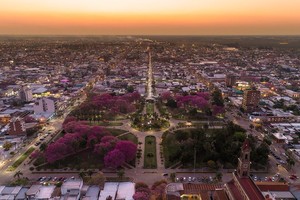 Media sanción para plantar un millón de árboles en la provincia de Santa Fe