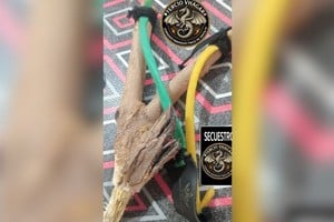 Uno de los elementos secuestrados por la policía. Foto: El Litoral