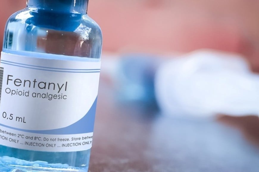 Imagen ilustrativa. Ya se registraron 124 muertes de forma oficial.