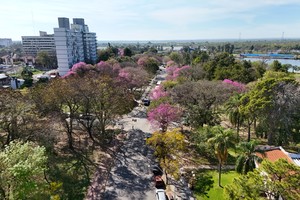 En los fundamentos y en los discursos, se destacó la importancia del arbolado para moderar la temperatura.