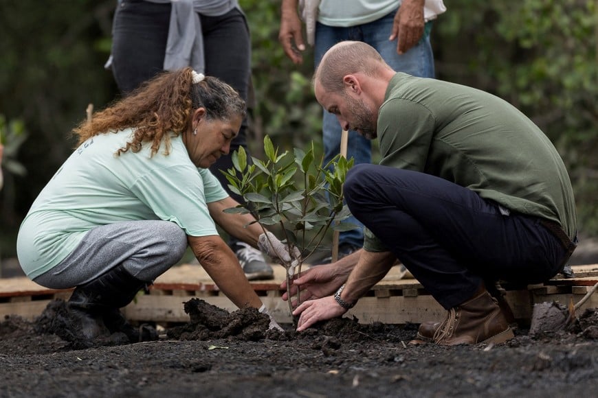 Britain's Prince William visits a mangroove in Guanabara Bay, during an official visit in Rio de Janeiro, Brazil, November 4, 2025. Eduardo Anizelli/Pool via REUTERS