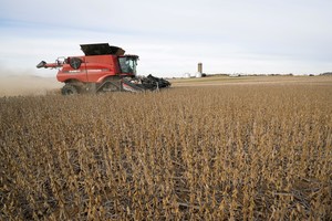 FILE PHOTO: Soybeans are harvested from a field on Hodgen Farm in Roachdale, Indiana, U.S. November 8, 2019. Picture taken November 8, 2019. REUTERS/Bryan Woolston/File Photo