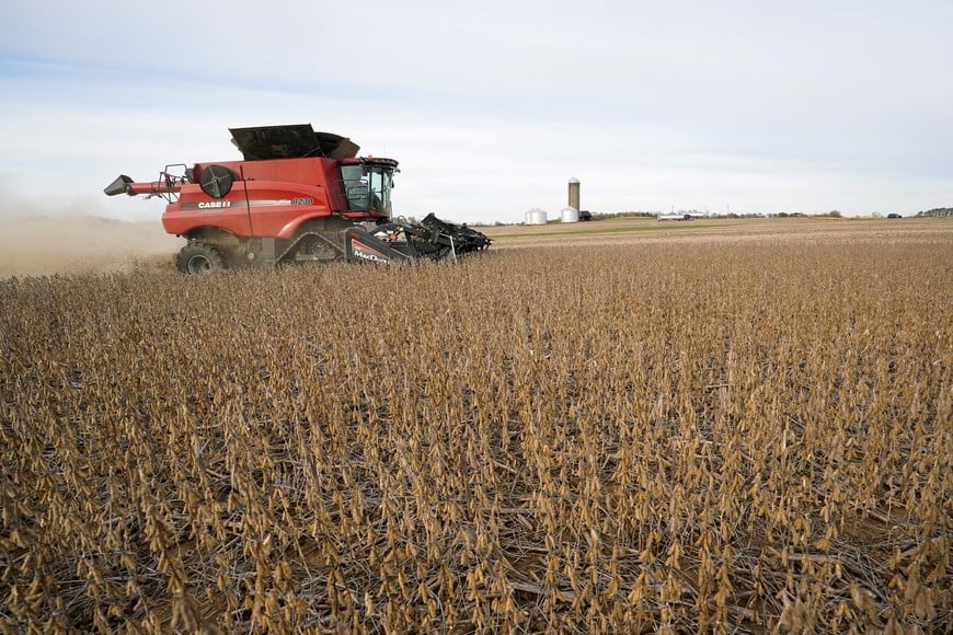 FILE PHOTO: Soybeans are harvested from a field on Hodgen Farm in Roachdale, Indiana, U.S. November 8, 2019. Picture taken November 8, 2019. REUTERS/Bryan Woolston/File Photo