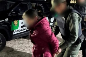 El informe evidencia que en lo va del año en curso, bajó ostensiblemente la cantidad de delitos rurales y denuncias por abigeato.
