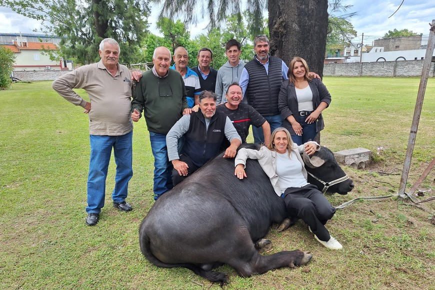 El búfalo, la “perla negra” de la ganadería argentina