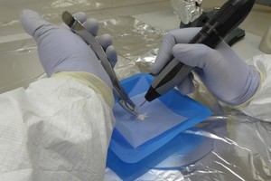 Trabajo en el laboratorio. Gentileza IDACOR