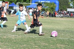 Cosmos y sus 16 años. Gentileza