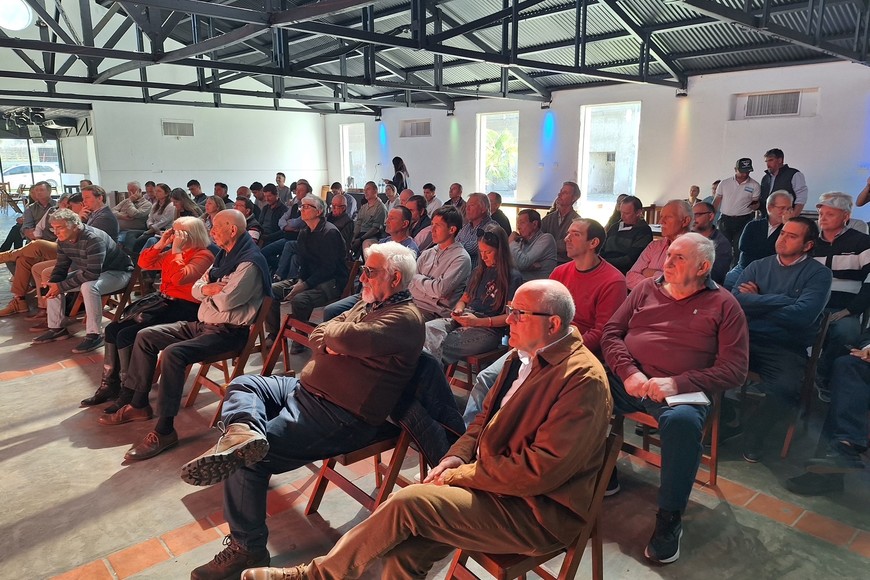 El búfalo, la “perla negra” de la ganadería argentina