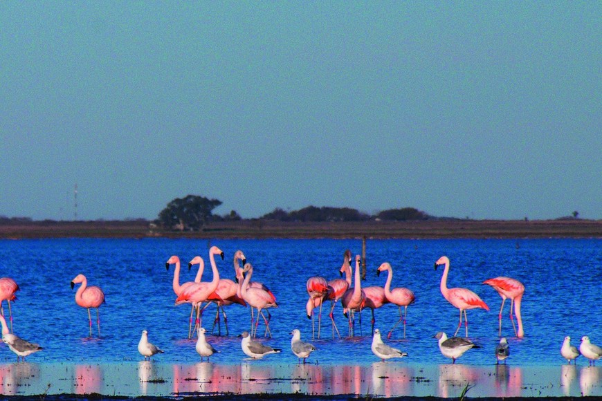 Biodiversidad. Archivo