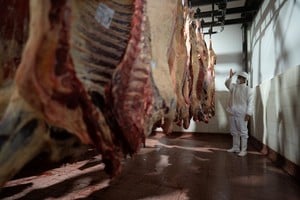 Menos volumen, más dólares: así cierra el año el mercado exportador de carne vacuna