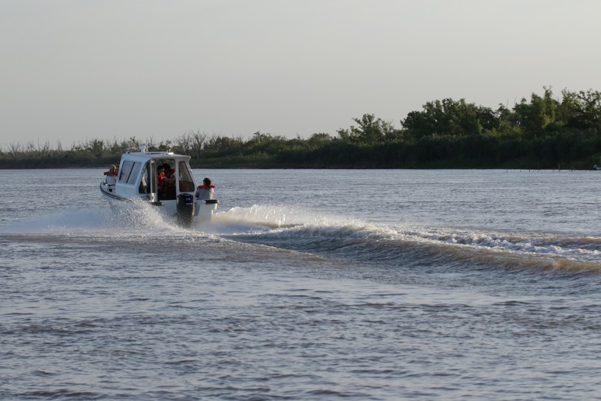 Biodiversidad. Archivo