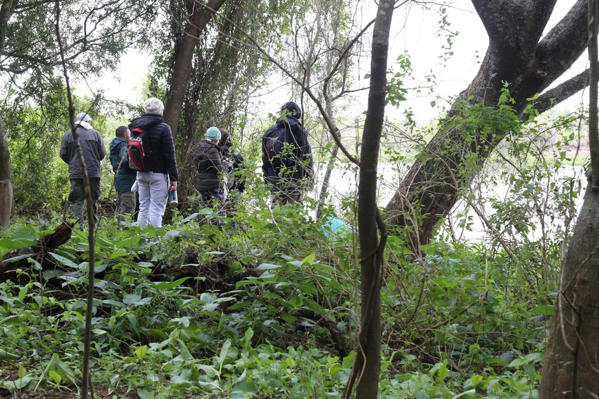 Biodiversidad. Archivo