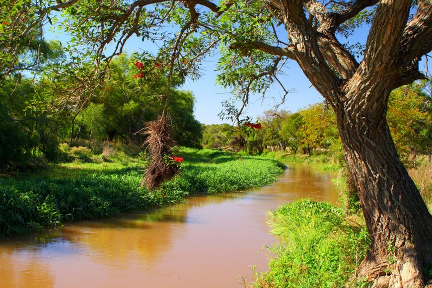 Biodiversidad. Archivo