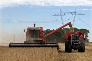 FILE PHOTO: Farmers harvest soybeans in Argentina's town of Estacion Islas April 3, 2010. REUTERS/Enrique Marcarian/File Photo