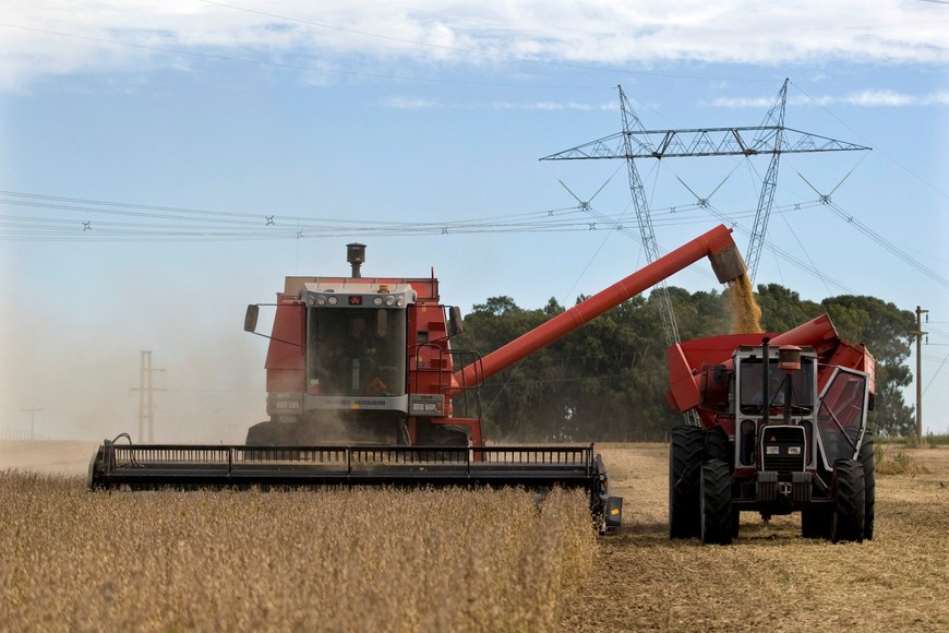 FILE PHOTO: Farmers harvest soybeans in Argentina's town of Estacion Islas April 3, 2010. REUTERS/Enrique Marcarian/File Photo