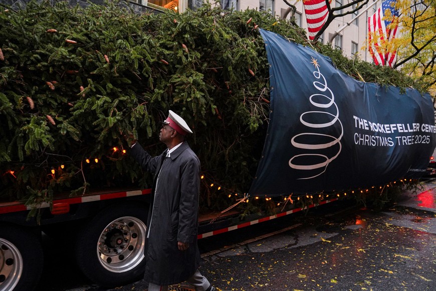 A man touches the 75-foot-tall Norway Spruce that will serve as the 2025 Rockefeller Center Christmas Tree, before its installation at Center Plaza in Rockefeller Center, New York City, U.S., November 8, 2025. REUTERS/Ryan Murphy