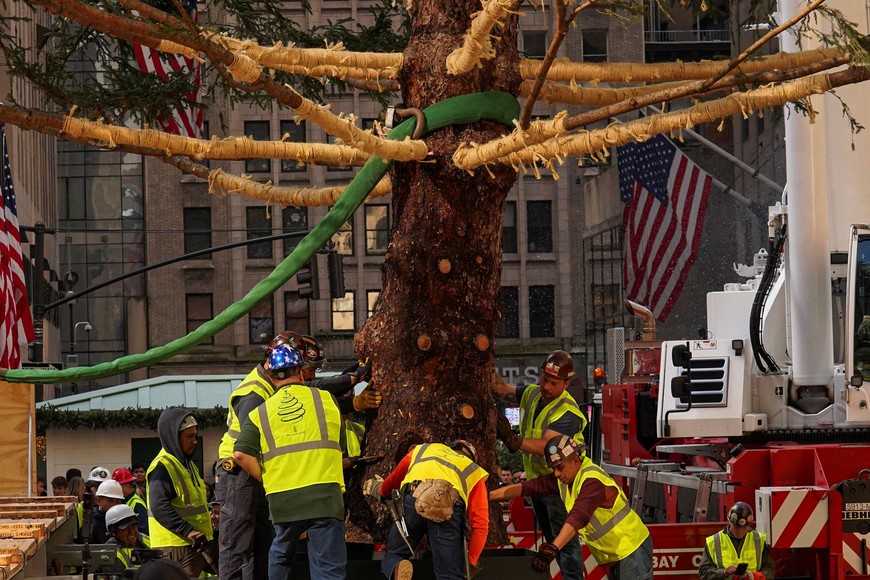 The 2025 Rockefeller Center Christmas Tree, a 75-foot-tall Norway Spruce, is installed at Center Plaza in Rockefeller Center, in New York City, U.S., November 8, 2025. REUTERS/Ryan Murphy