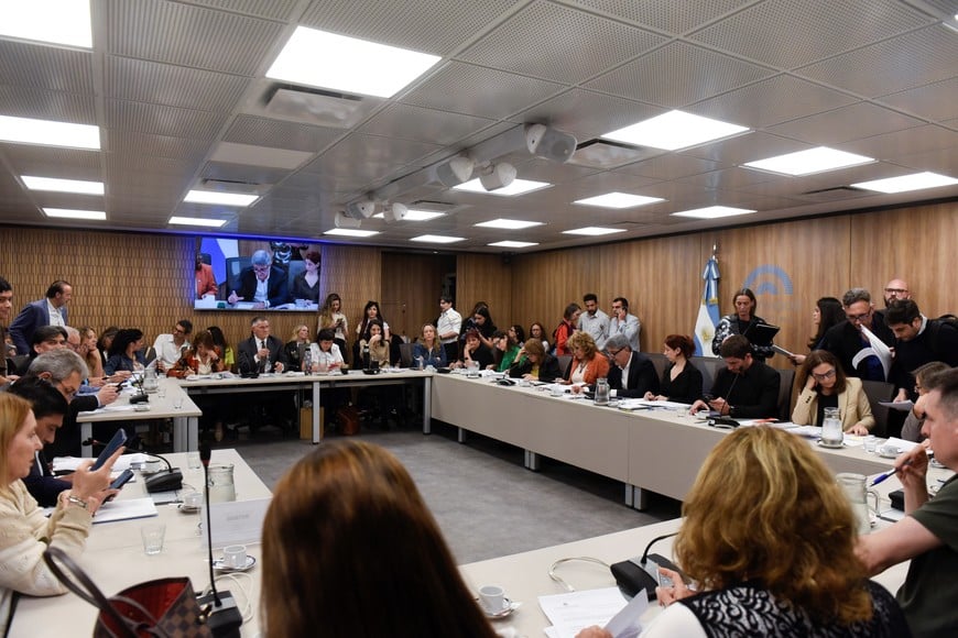 El plenario de comisiones de Salud y de Familias logró dictamen unánime para incorporar pautas precisas sobre prevención de suicidios con foco en infancias y adolescencias.