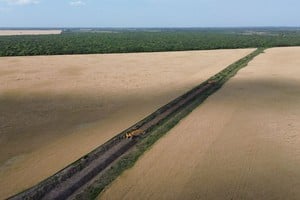 Los trabajos presentan un avance del 85 %.