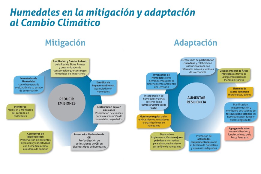 Gentileza Fundación Humedales/Wetlands International.