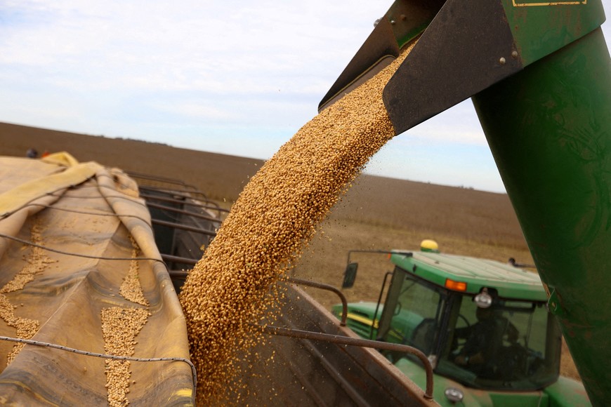 FILE PHOTO: Soybeans are loaded on a truck after being harvested, in Pergamino, on the outskirts of Buenos Aires, Argentina, May 15, 2024. REUTERS/Matias Baglietto//File Photo