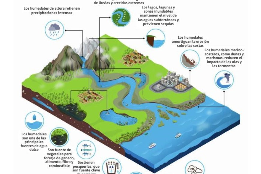 Gentileza Fundación Humedales/Wetlands International.