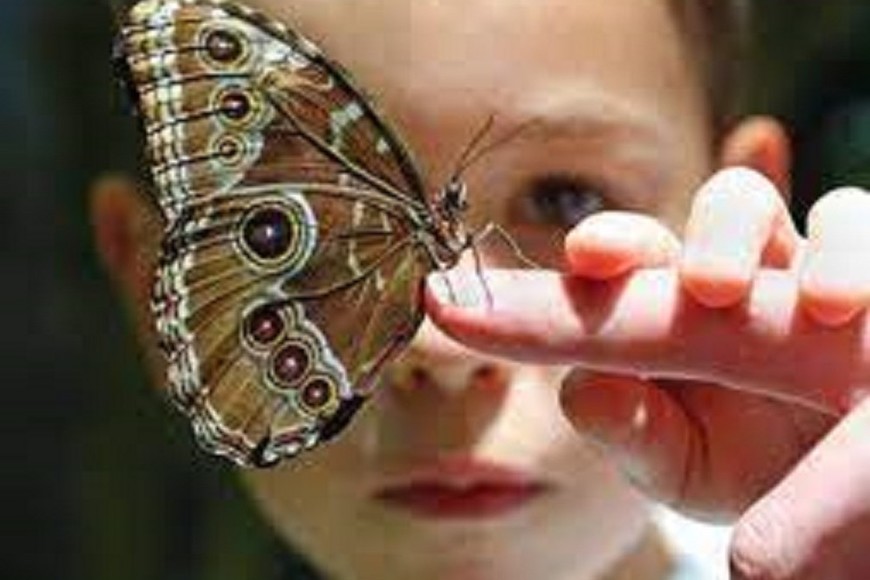 Es necesario que los niños recuperen, a través de su mirada todavía no contaminada, la capacidad de asombrarse ante la presencia de lo que la naturaleza y la existencia les ofrecen. Es imperioso que logren superar la ausencia de emociones que implica la réplica digital de lo ya conocido y consumido.