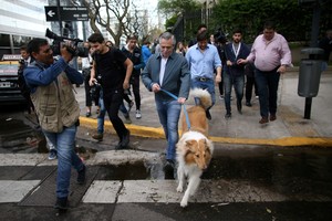Alberto Fernández y Dylan, en una de sus clásicas apariciones públicas durante la campaña. Foto: Reuters