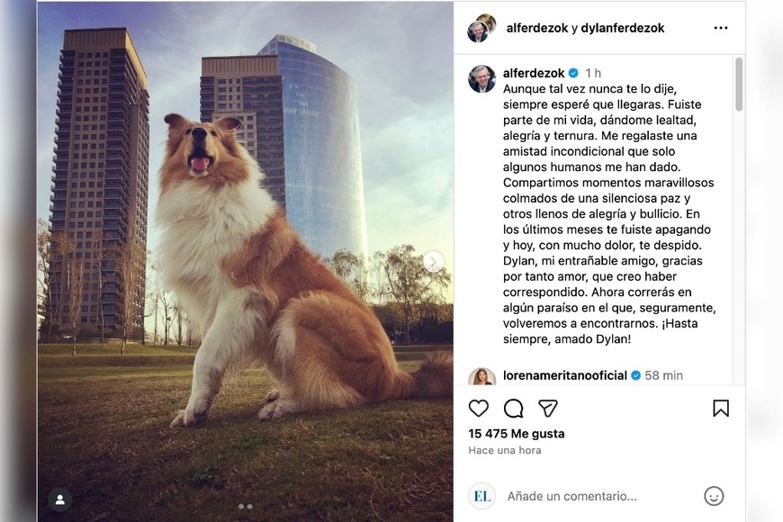 El posteo de despedida de Alberto Fernández