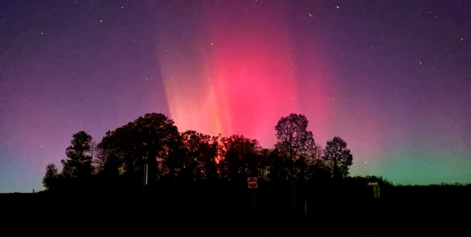 Usuarios compartieron sorprendidos las imágenes.