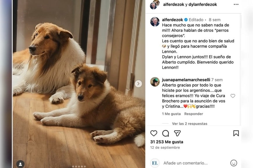 Lennon, el nuevo perrito de Alberto