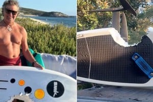 Drama en el mar: windsurfista enfrentó a un tiburón blanco y se salvó.