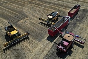 A drone view shows combines loading trucks with wheat during the start of the harvesting campaign in a field near the town of Starobilsk (Starobelsk) in the Luhansk Region, a Russian-controlled area of Ukraine, July 9, 2025. REUTERS/Alexander Ermochenko