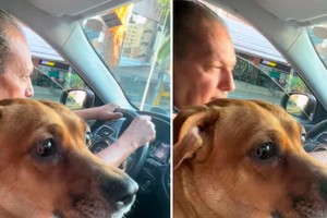 Volvió al lugar donde la abandonaron y rompió en llanto.