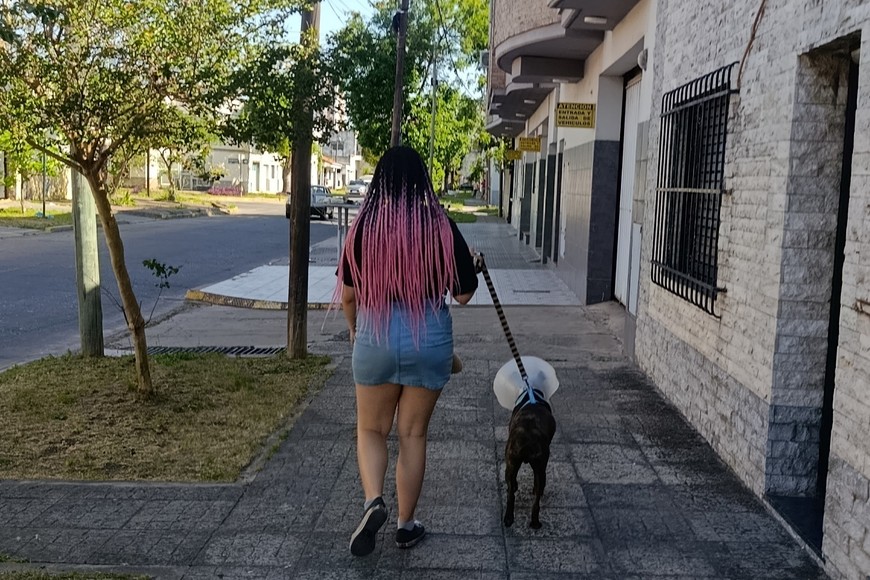 Gustavito, tímido y desconfiado al principio, comenzó a caminar con correa y a socializar mejor tras sus primeras salidas con los superamigos.