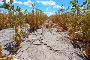 El informe de DEMOS advierte que los eventos climáticos extremos ya condicionan la economía argentina.