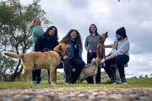 Valentina Kuttel Bes, Juliana Burgos, Oriana Pérez Bauer, Luisina Iribarren y Joaquín Cabezas (de izq. a derecha) son los integrantes del equipo que diseñó la idea. Fotos: Gentileza
